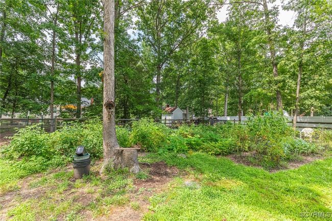 View of yard | Image 44