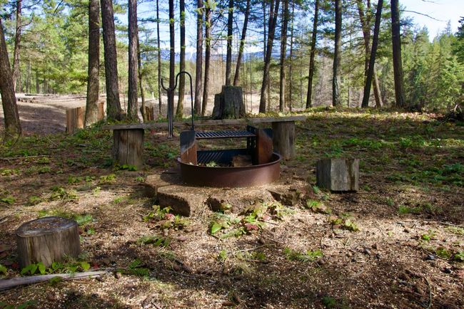 View of yard with a fire pit | Image 51