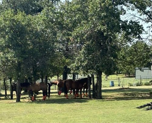 1550 W Highway 277, Ninnekah, OK, 73067-3837 | Card Image