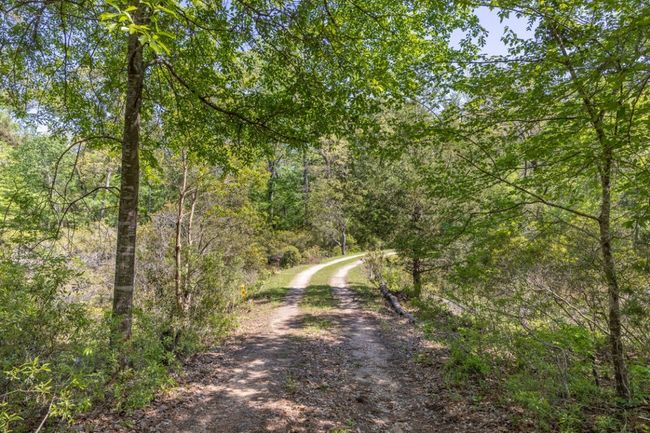 View of road featuring a forest view | Image 35