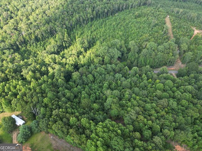 TRACT 2 Harbert Valley Rd, Home with 0 bedrooms, 0 bathrooms and null parking in Toccoa GA | Image 6