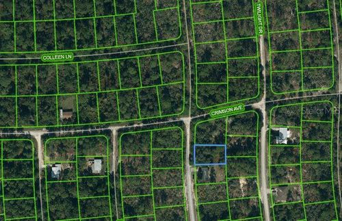 233 Dreamers Dr, LAKE PLACID, FL, 33852-8536 | Card Image
