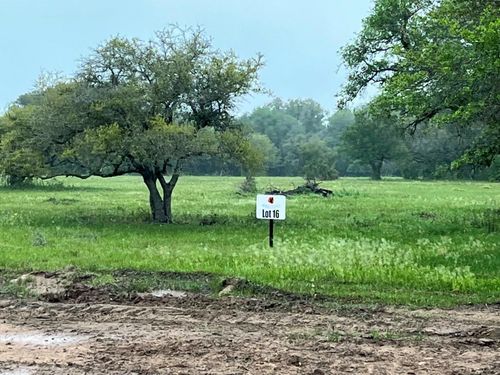 0 Pintail Lane, Columbus, TX, 78934 | Card Image