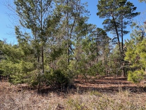 23 Tall Marigolds Ct, Homosassa, FL, 34446-5724 | Card Image