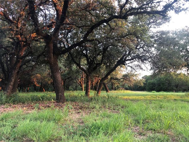 1900 Coleman Ranch Rd, House other with 3 bedrooms, 2 bathrooms and null parking in Tolar TX | Image 12