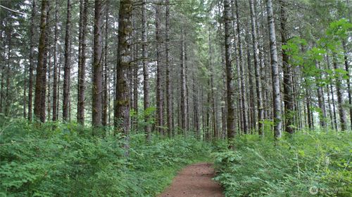 0 Lincoln Creek Rd, Centralia, WA, 98531 | Card Image