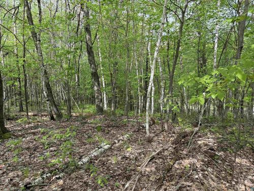 Lot 4 Peterson Road, Wascott, WI, 54859 | Card Image