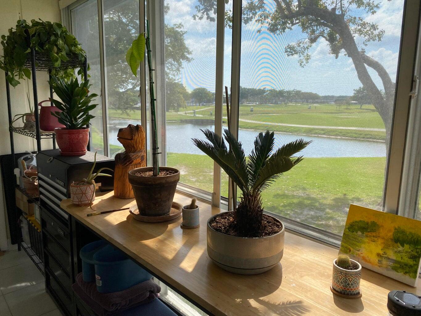 Normandy F , Delray Beach, FL 33484