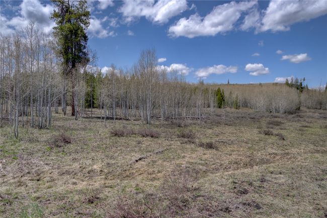 View of local wilderness | Image 15