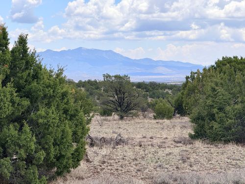 Lot 155 Pinon Springs Rd, Magdalena, NM, 87825 | Card Image