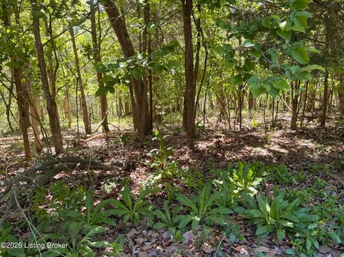Lot 301 Woodview Dr, Brandenburg, KY, 40108-7134 | Card Image