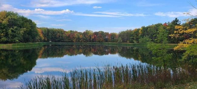 1150 Logwood Court, House other with 4 bedrooms, 2 bathrooms and null parking in MANITOWOC RAPIDS WI | Image 86
