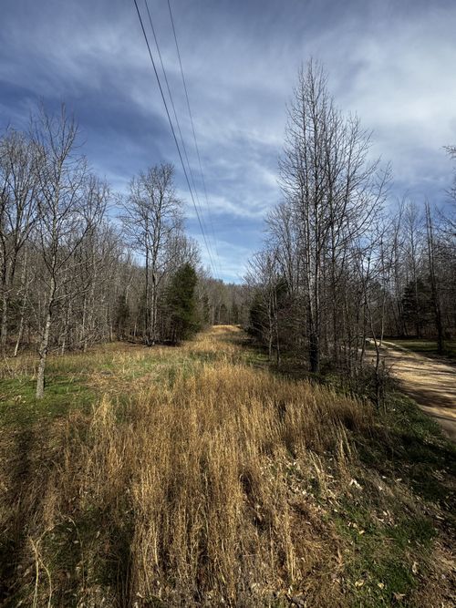 301 Bob Cat Rd, Linden, TN, 37096 | Card Image