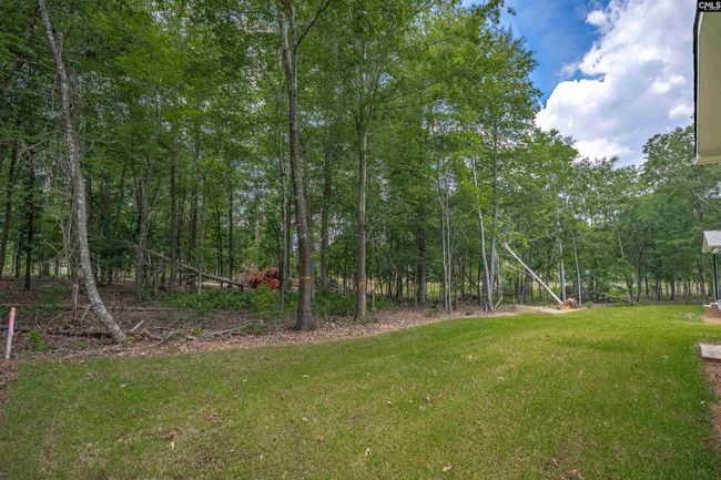 1040 Refuge Pl, House other with 4 bedrooms, 4 bathrooms and null parking in Chapin SC | Image 9