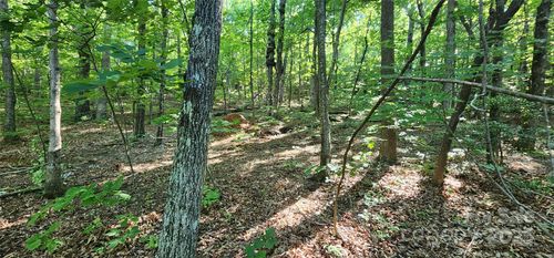 71-Lot 71 Serpentine Dr, Columbus, NC, 28722-6827 | Card Image