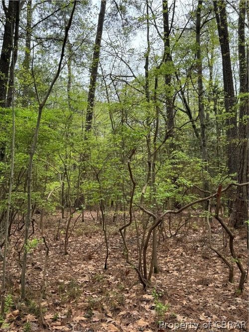 11 & 12 Diamond Dr, Hague, VA, 22469 | Card Image