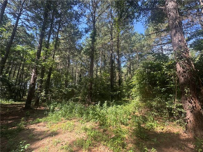 3 Rogers Rd, Home with 0 bedrooms, 0 bathrooms and null parking in Pendleton SC | Image 5
