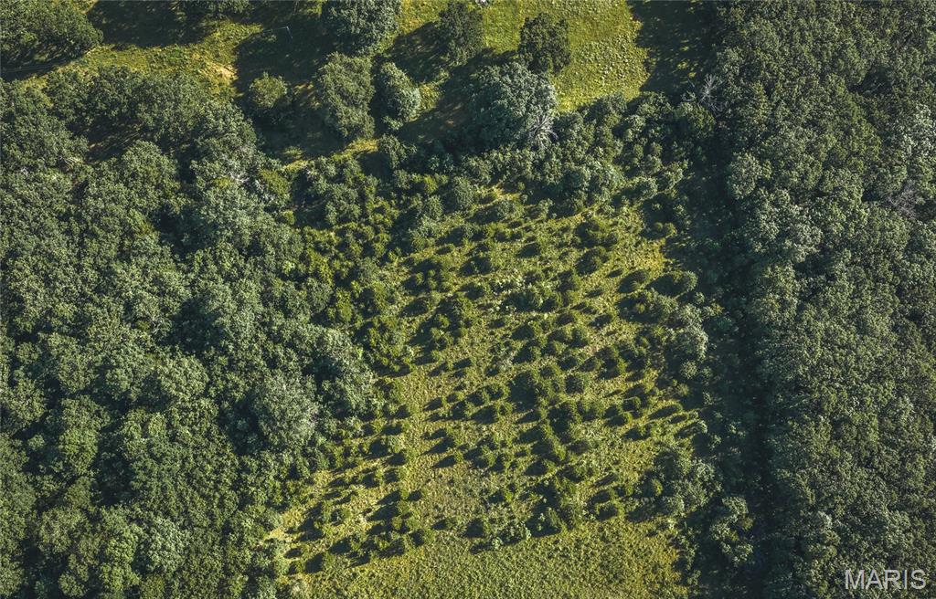 Land in St James
