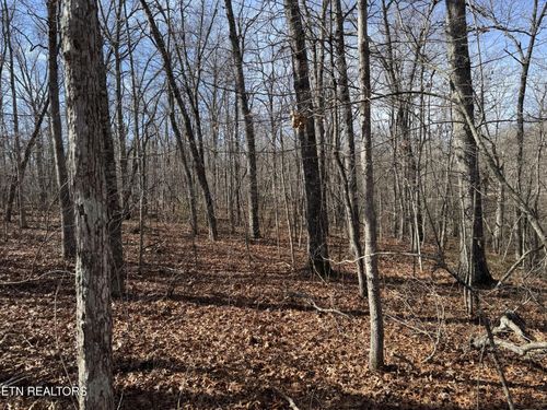 38 Crystal Pt, Monterey, TN, 38574 | Card Image