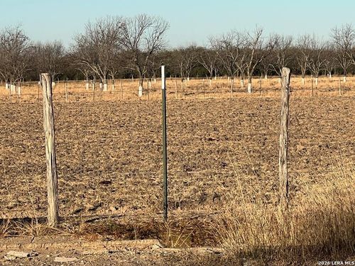 LOT A Fm 1908, Quemado, TX, 78877 | Card Image