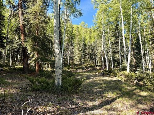 20 Alpine Vista Way, Lake City, CO, 81235 | Card Image