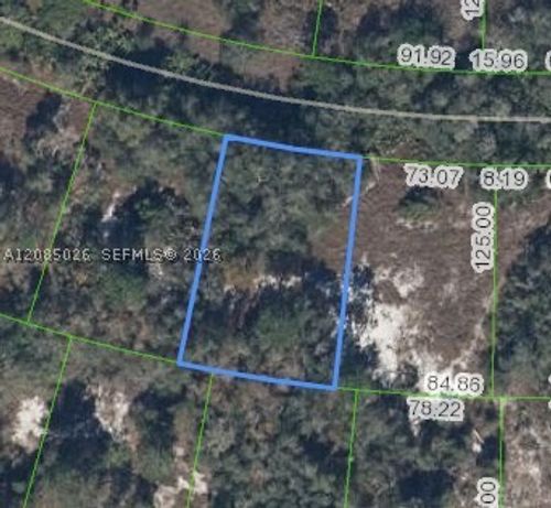 783 Clair De Lune, Lake Placid, FL, 33852 | Card Image