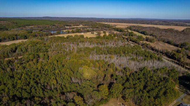Lot 3 Roland Woods, Hwy 300, Home with 0 bedrooms, 0 bathrooms and null parking in Roland AR | Image 11
