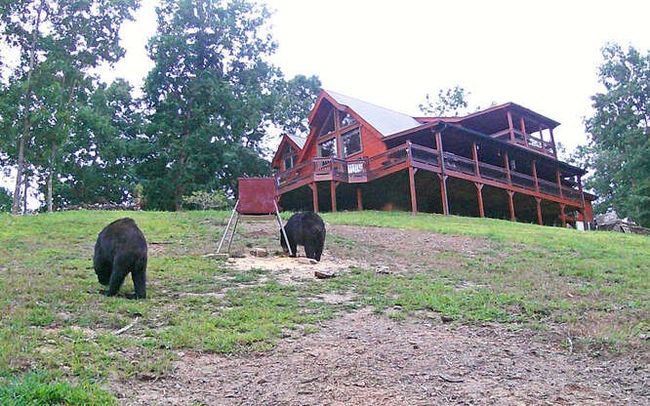 4760 Anderson Rd, Home with 4 bedrooms, 4 bathrooms and 2 parking in Hiawassee GA | Image 85