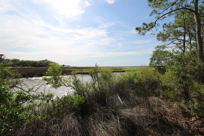 20 George Vause Rd, Home with 0 bedrooms, 0 bathrooms and null parking in Alligator Point FL | Image 7