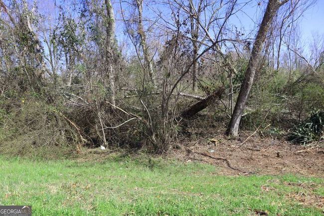 1 - LT.1 Steel Creek Rd, Home with 0 bedrooms, 0 bathrooms and null parking in Davisboro GA | Image 4
