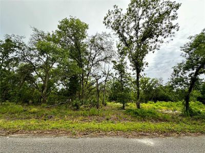 Lot 2 Guava Pl, Home with 0 bedrooms, 0 bathrooms and null parking in Ocklawaha FL | Image 1