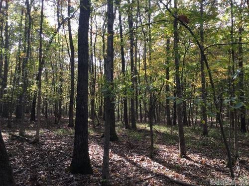 Unk Polk Road 293, Mena, AR, 71953 | Card Image