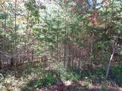 2474 Wedgewood Dr, Jasper, GA, 30143 | Card Image