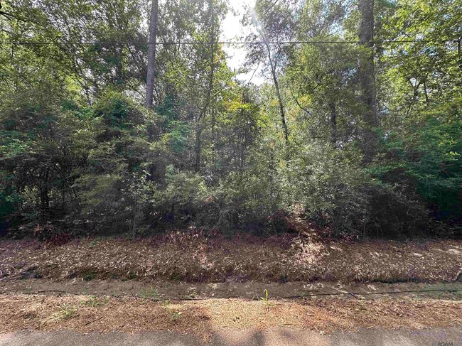 26.85 Acres Heritage Acres Ln, Home with 0 bedrooms, 0 bathrooms and null parking in Robert LA | Image 13