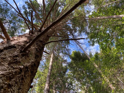 39 Jackpine St, Gabriola Island, BC, V0R1X1 | Card Image