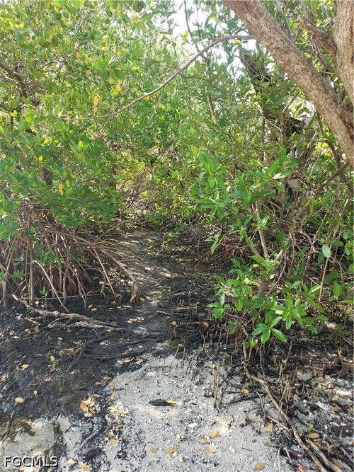 TBD Masters Landing Dr, SAINT JAMES CITY, FL, 33956 | Card Image