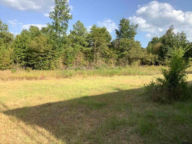 5664 Fm 757, House other with 3 bedrooms, 2 bathrooms and null parking in Winona TX | Image 10