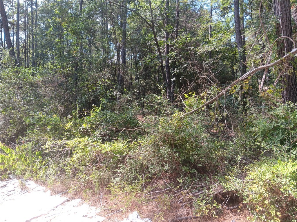 Land in Plantersville 5