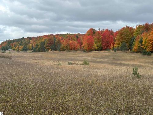 40 Acres S Schomberg, Lake Leelanau, MI, 49621 | Card Image