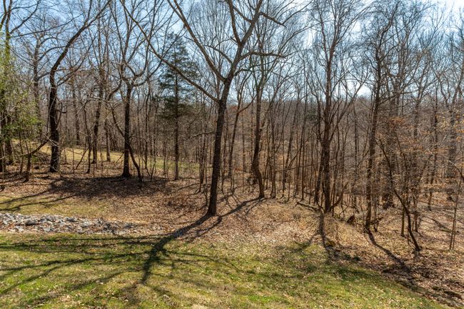 1101 Cutters Cove Rd, House other with 3 bedrooms, 3 bathrooms and null parking in Kingston Springs TN | Image 35