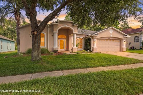 14617 Edgemere Dr, Spring Hill, FL, 34609-0689 | Card Image