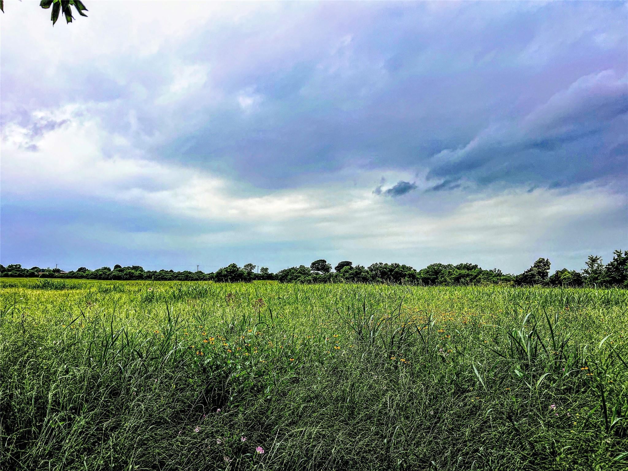 Land in Brenham 3