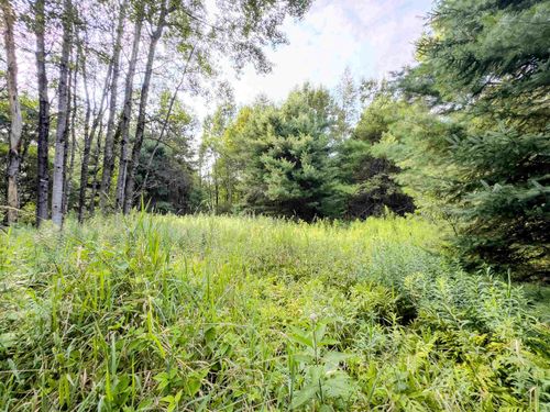 00 Woodsville Rd, Monroe, NH, 03771 | Card Image