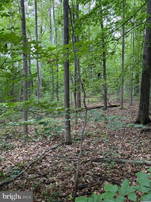 15413 Drummers Ln, ORANGE, VA, 22960-9117 | Card Image