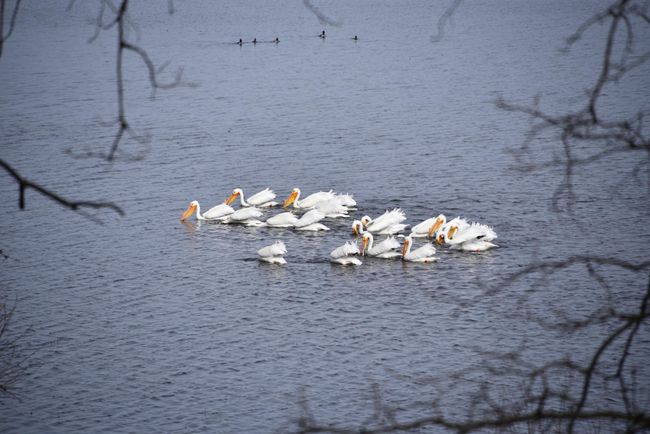 DSC_9655.JPG | Image 21