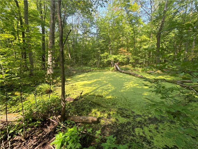 3088 110 Th St, Home with 0 bedrooms, 0 bathrooms and null parking in FREDERIC WI | Image 26