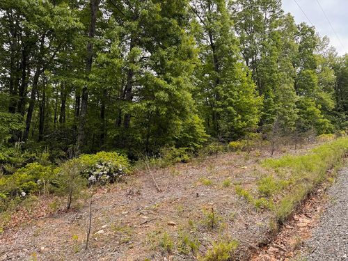 Lot 5 Shortcut Dr, Woolwine, VA, 24185 | Card Image