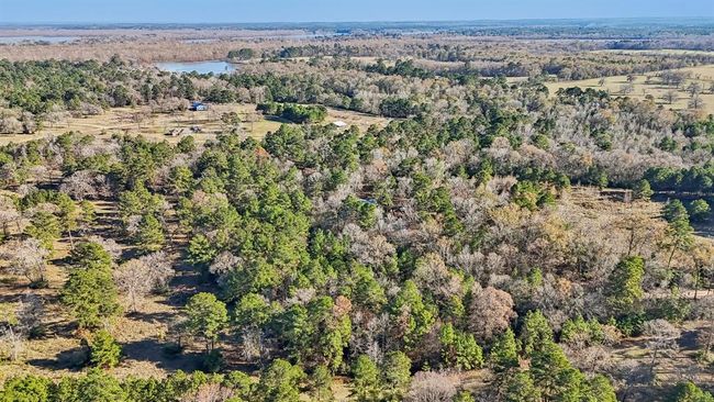 0 Bay Tree St, Home with 0 bedrooms, 0 bathrooms and null parking in Trinity TX | Image 5