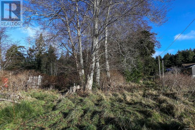 665 1 St St, Home with 0 bedrooms, 0 bathrooms and null parking in Sointula BC | Image 21