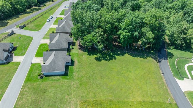 0 Eagle Loop, Home with 0 bedrooms, 0 bathrooms and null parking in Loretto TN | Image 7